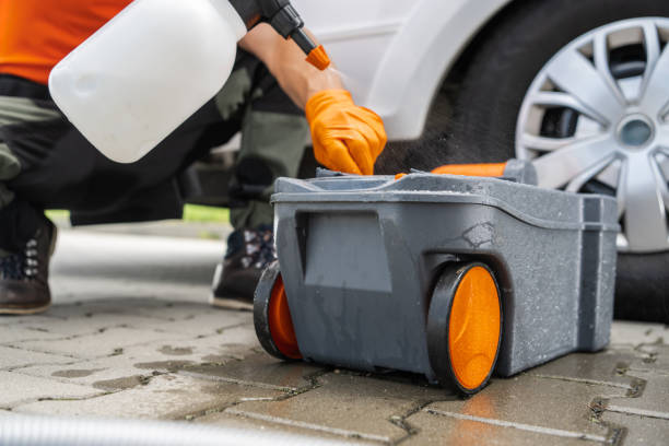 Best Tree Maintenance Programs  in Madisonville, TN